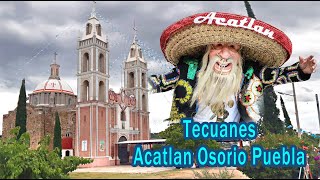 Tecuanes de acatlan Asorio puebla 2024 [upl. by Ailla]