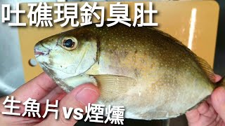 感謝網友送的手釣臭肚，拿來做生魚片、煙燻、魚湯三吃。臭肚的美味完全顛覆我的想像。Siganus argenteus Sashimi [upl. by Imena]