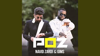 POZ feat GIMS [upl. by Airyk]