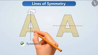 Lines of Symmetry  Part 13  English  Class 6 [upl. by Lynde48]