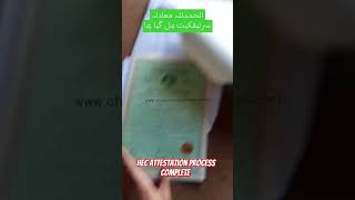 HEC attestation process complete shorts hec ibcc darsenizami [upl. by Anitsua]