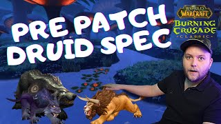 What talents should you pick on your Feral Druid in the Classic TBC Pre Patch [upl. by Swope]