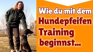 Hundepfeife Training ► Wie du mit dem Hundepfeifen Training beginnst ► Hundetraining Tipps [upl. by Rozanna]