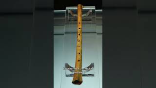 Jiahu Bone Flute The Oldest Musical Instrument in China  9000 Years of Ancient Music museum [upl. by Evot497]