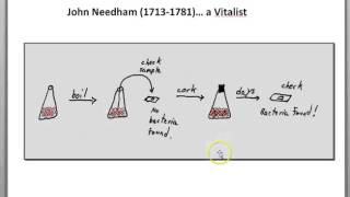 Spontaneous generation of bacteria Needham and Spallanzani [upl. by Ahsal]