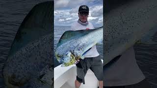 Biggest biggest Dorado [upl. by Carmen]