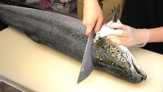 How To Fillet a Whole Salmon  Sashimi amp Sushi Taiwanese street food [upl. by Henley618]