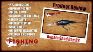 Rapala Shad Rap RS  My Fishing Lake Diving Crankbait Lure Review [upl. by Joelly]