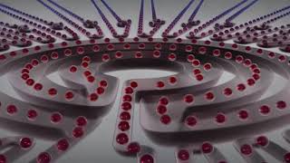 Sphere Fluidics Picodroplet Technology Overview [upl. by Aynnek]