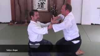 Aikido Kihon kokyu tanden ho [upl. by Leiso]