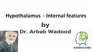 Hypothalamus  Internal features Part 3  Neuroanatomy  Lecture 43 by Dr Arbab Wadood [upl. by Akemihs]