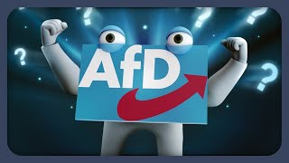 Deshalb ist die AfD gerade so erfolgreich [upl. by Elocin]