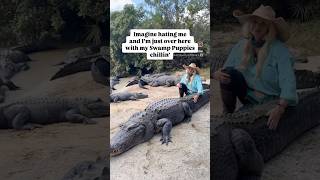 Can you count the Alligators shorts youtubeshorts alligator [upl. by Odnanreh]