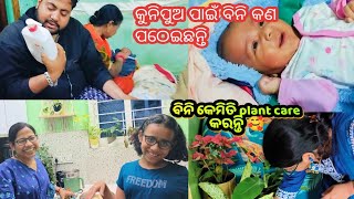 କୁନିପୁଅ ପାଇଁ ବିନି କଣ ପଠେଇଛନ୍ତି ‼️ବିନି plant care କେମିତି କରନ୍ତି odisha odiavlog youtube [upl. by Sidalg429]