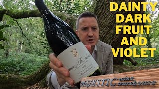 Alexandre Gauvin Gevrey Chambertin 2017 from Majestic Wine [upl. by Courtney]