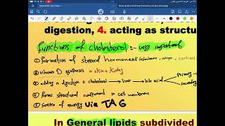 Biochemistry Lipid Metabolism second year part 2 [upl. by Ellenar172]