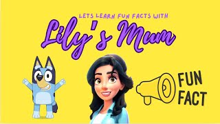 Let’s Learn Fun Facts With Lily’s Mum  Bluey Edition [upl. by Jacobina]