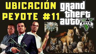 Ubicaciones de Peyote en GTA V 11 Modo Historia [upl. by Natsreik]