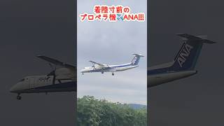 🟢飛行機音✈️だけで何処から来るか当てられるか☺️⁉️planespotting airplane aviation ana プロペラ機 全日空 空港 伊丹 shorts [upl. by Felise]