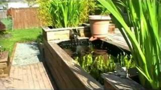 Learn How To Build Your Own Raised Koi Pond [upl. by Sesiom749]