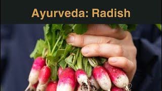 Big radish or small radish according to Ayurveda  ayurveda radish [upl. by Voletta]