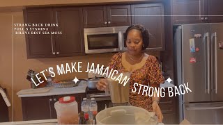 PEANUT PUNCH JAMAICAN STRONG BACK RECIPE  IRISH MOSS PUNCH  BOOST STAMINA [upl. by Hafeenah615]