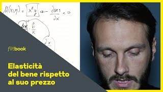 Elasticità della domanda al prezzo  Flitbook  Lezioni Microeconomia  Economia Politica [upl. by Harold421]