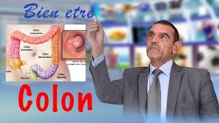 Irritation du colon Bien être Dr Faid Mohamed [upl. by Aynekal]