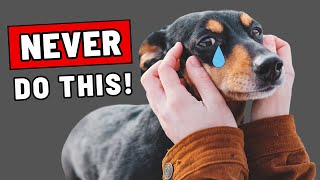 16 Things a Dog Will NEVER Forgive [upl. by Nahseez]