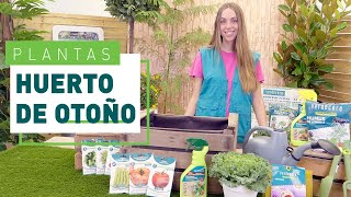 Calendario de siembra del huerto en otoño  Plantas en VERDECORA [upl. by Thetos]