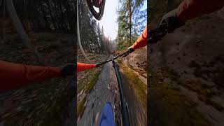 Biking an Abandoned Bobsled Track 🎬 Antoni Villoni Shorts MTB [upl. by Tillie297]