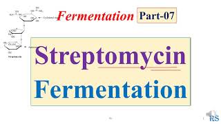 108 Streptomycin Fermentation  Microbial Production of Streptomycin [upl. by Nomad]