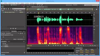 Videocorso Adobe Audition CC Lezione 50 DeEsser [upl. by Eirhtug]