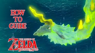 HOW TO DO FAROSH DRAGON  FAROSHS SCALE  SPRING OF COURAGE  SHAE KATHA SHRINE  ZELDA BOTW [upl. by Egrog]