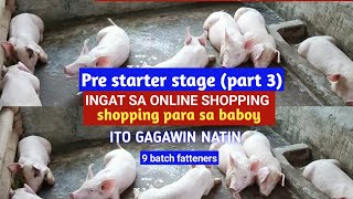 Pre starter stage Part 3 Ingat sa online shopping l Shopping para sa baboy l Dodong Villaran [upl. by Eizdnil]