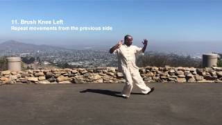 Tai Chi Yang Style 108 Form Demo with 8 Technique Analysis [upl. by Zolly]