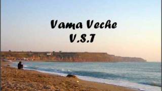 VST  Vama Veche [upl. by Mcquillin536]