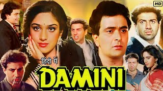 Damini 1993 Full Movie  Sunny Deol  Meenakshi Seshadri  Amrish Puri  Rishi K  Review amp Facts [upl. by Dowzall]