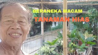 BERANEKA MACAM TANAMAN HIAS [upl. by Rennold241]