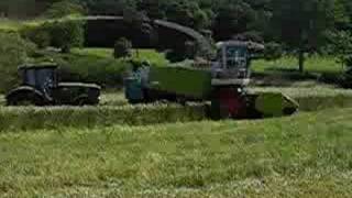 Cutting Whole Crop Triticale With a Claas 900 [upl. by Geibel]