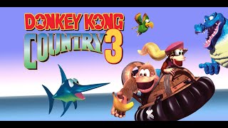 LIVE de Donkey Kong Country 3  Treino 30 [upl. by Resay354]