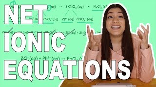 How to Write Complete Ionic Equations and Net Ionic Equations [upl. by Alleber]