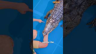 How To Escape An Alligator Death Roll 😨shorts [upl. by Atinuaj]