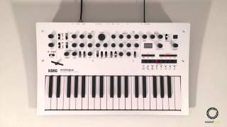 KORG minilogue 1  Preset Performance [upl. by Schoenburg]