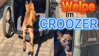 Croozer Fahrradanhänger Montage und Zusammenklappen Fahr Test auf Terrasse mit Welpen Hund [upl. by Nahtam444]