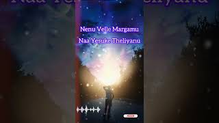 Nenu Velle Margamu Short Video [upl. by Crissie657]