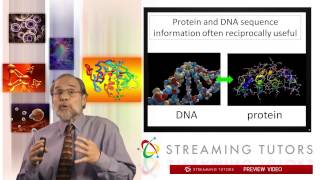 Biochemistry Protein Primary Structure amp Sequencing tutorial [upl. by Enelie]