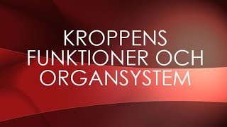 Människokroppen  organsystem [upl. by Astiram]