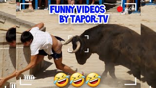 Best Funny Videos Compilation 🤣 Pranks  Amazing Stunts  By Tapor TV 🍿 No35 [upl. by Florio]