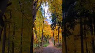 Vackra natur video 🥰 [upl. by Ainoet45]